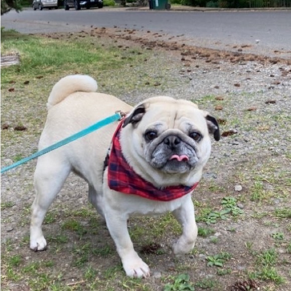 Meet your Posher, Marisa - Picture 3 of 4